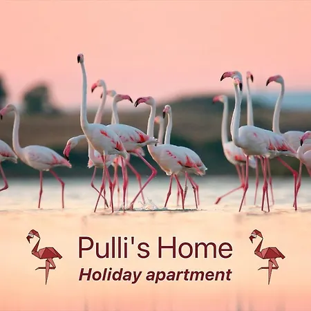 Pulli's - Comfy&cozy House Selargius